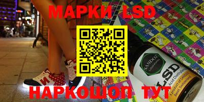 индика Можга