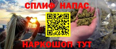 индика Можга