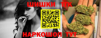индика Можга