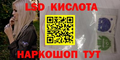 индика Можга