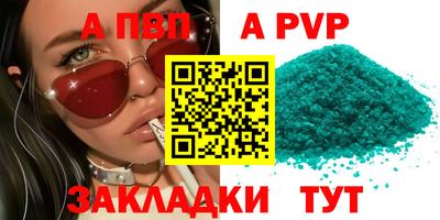 индика Можга