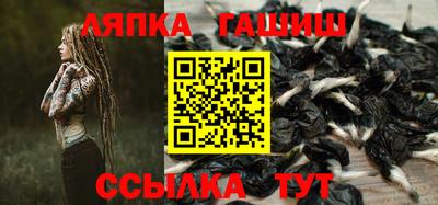 индика Можга