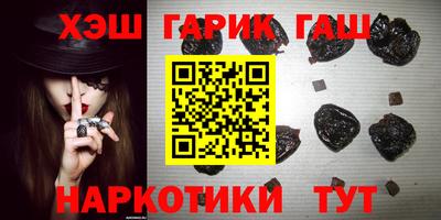 индика Можга