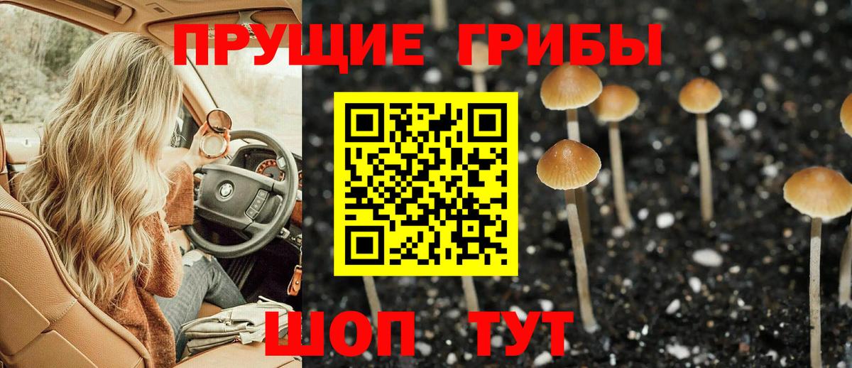 Россошь  Галлюциногенные грибы мухоморы  как найти   Вход с VPN  Галлюциногенные грибы Psilocybine cubensis 